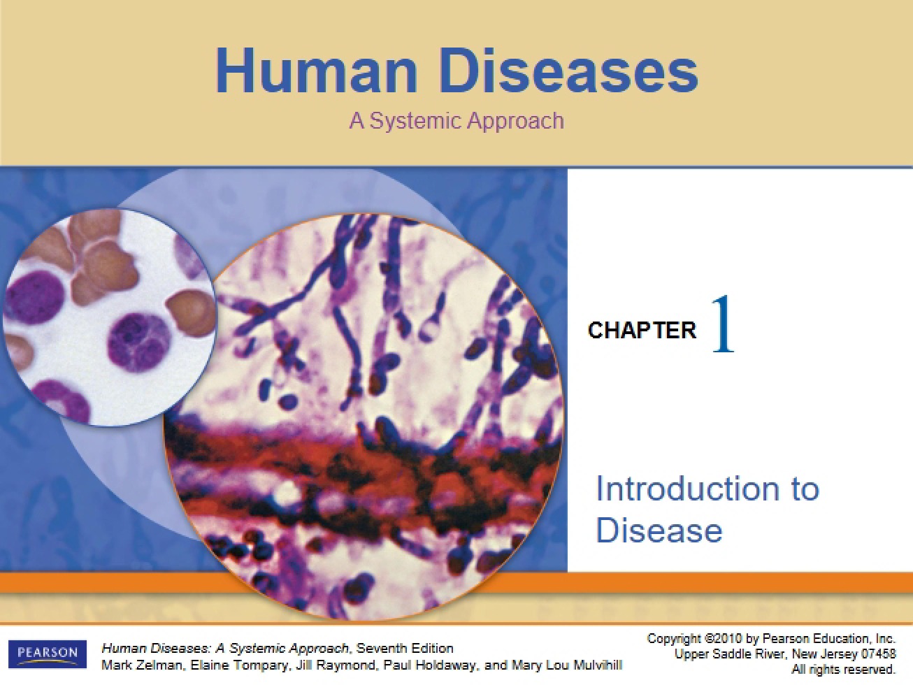 PowerPoint Presentation for the First Chapter from Spring 2015, Student Version