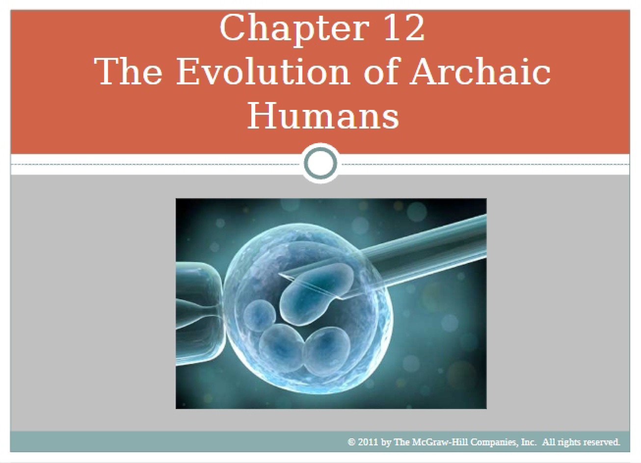 Analysis of the Evolution of Archaic Humans