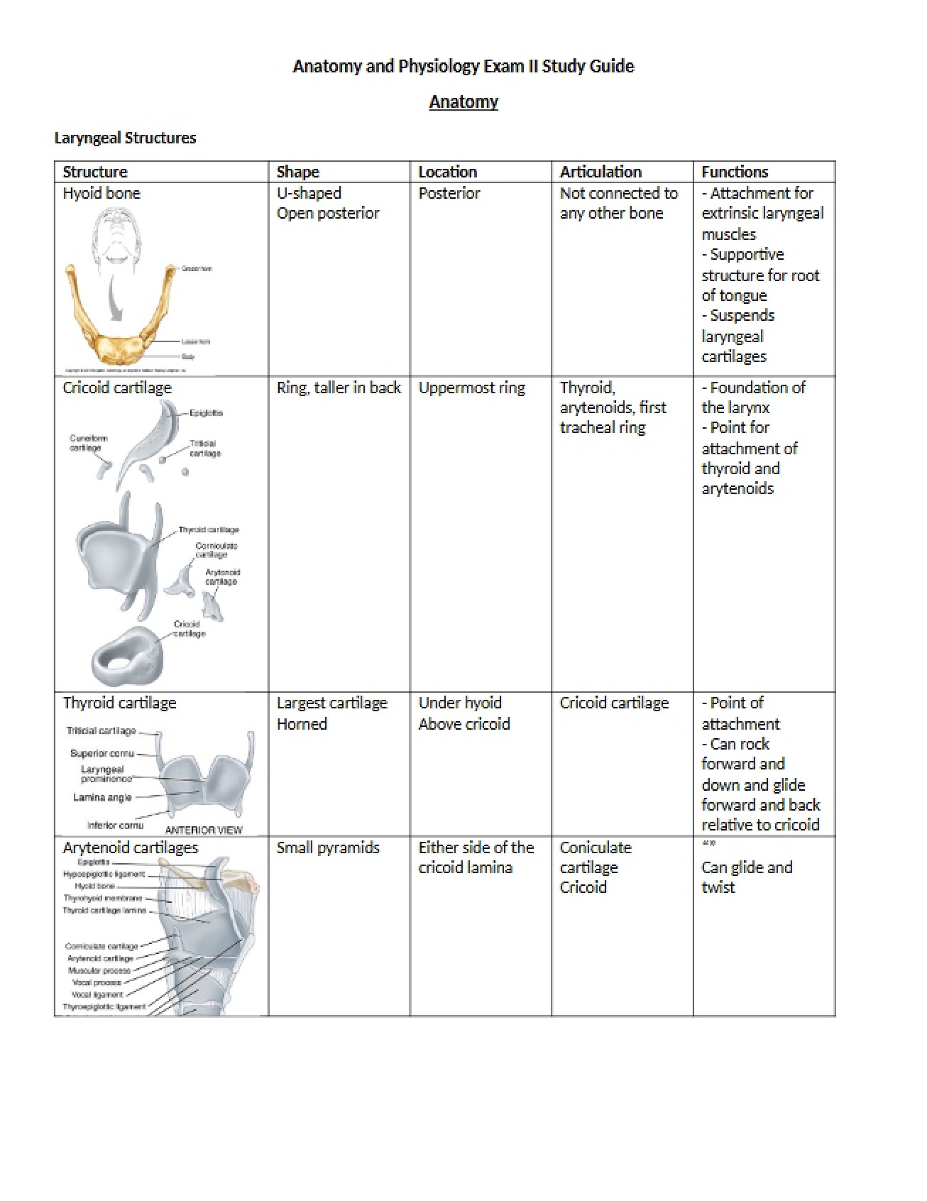 Physiology and Anatomy