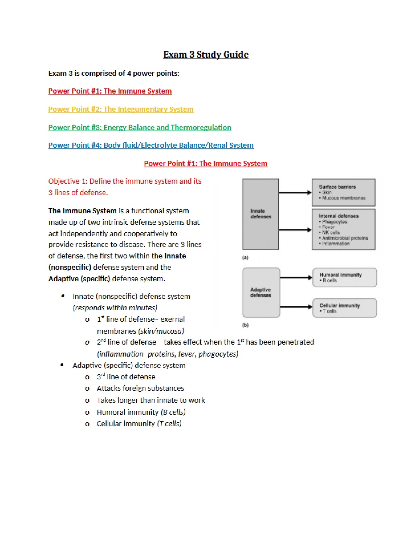 Examination 3