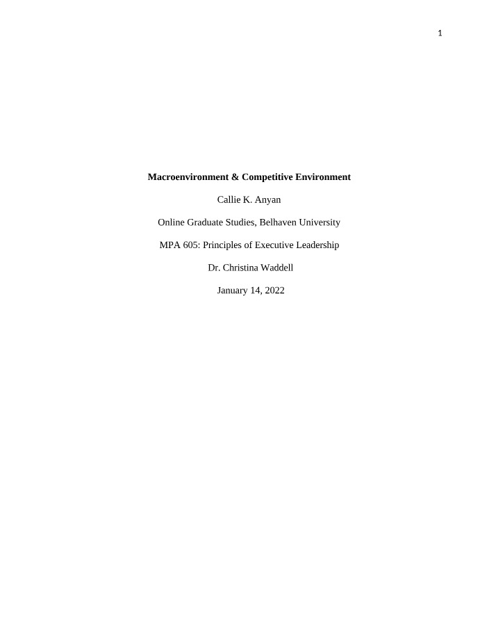Competitive and Macroenvironment Analysis