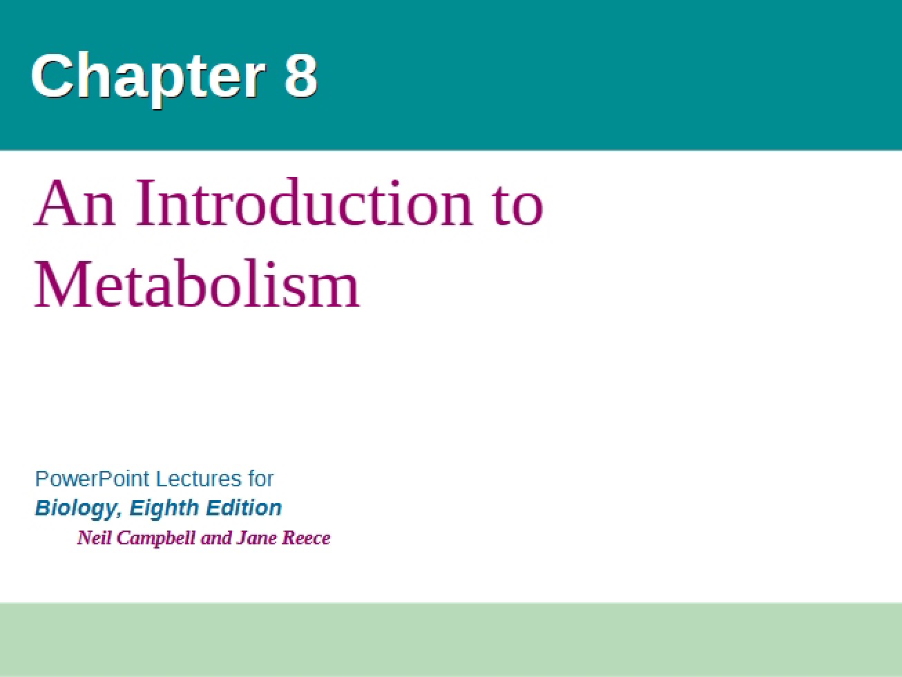 Eighth Chapter An Overview of Metabolism
