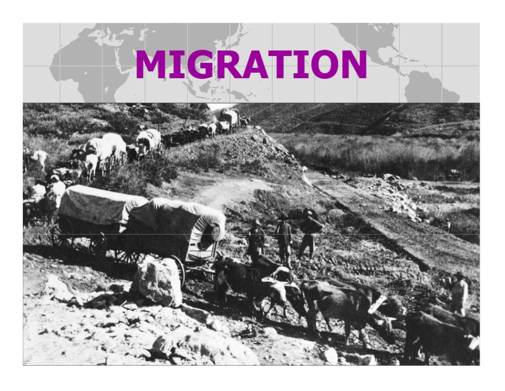 Migration Patterns