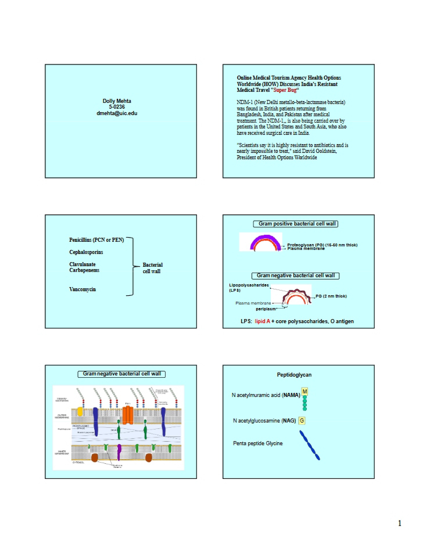 Cephalosporins and Penicillins