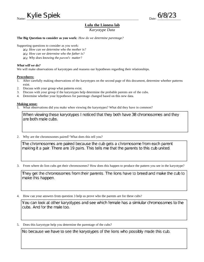 Determining Lion Cub Parentage - Karyotype Data Analysis