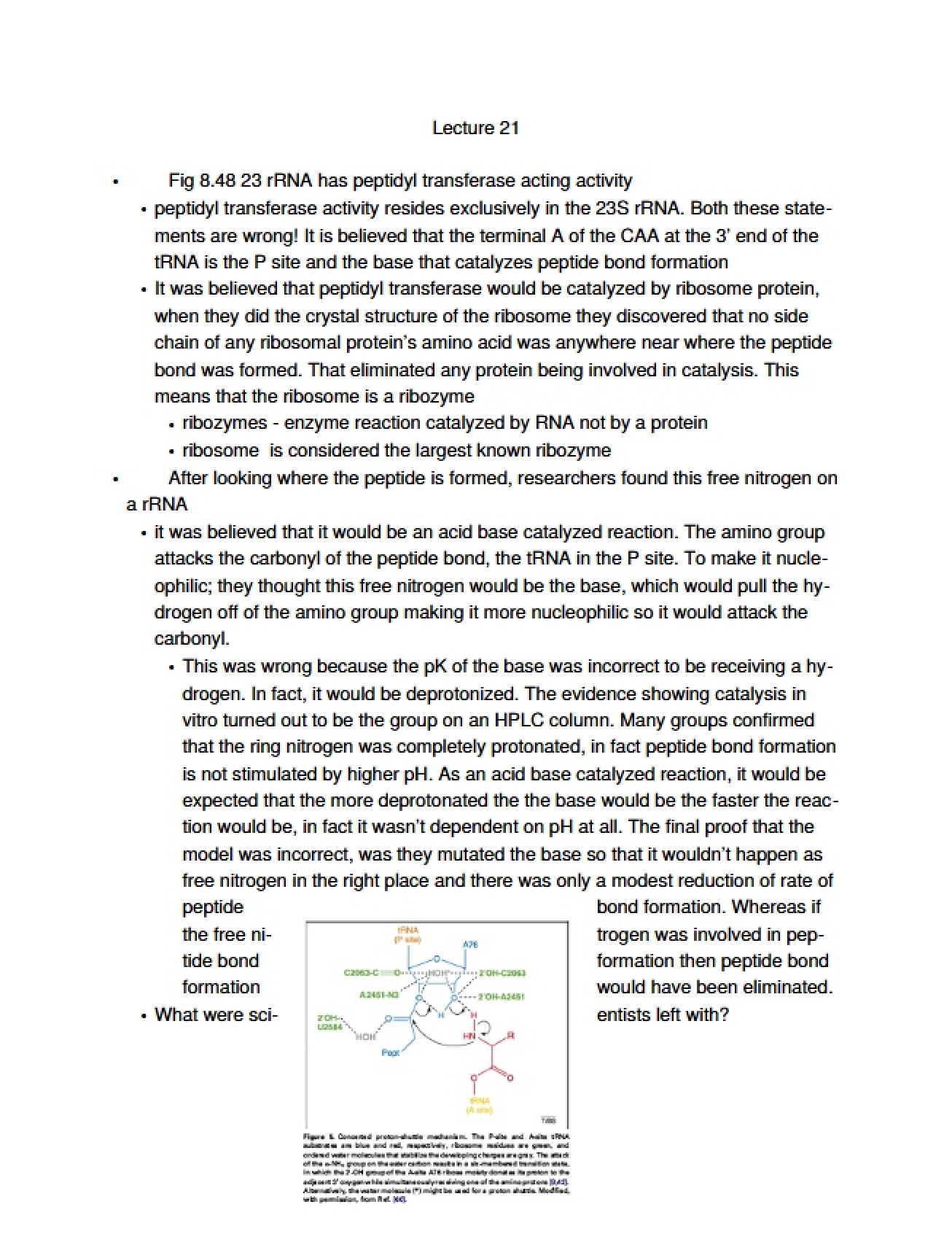 Twenty-First Lecture on Molecular Biology
