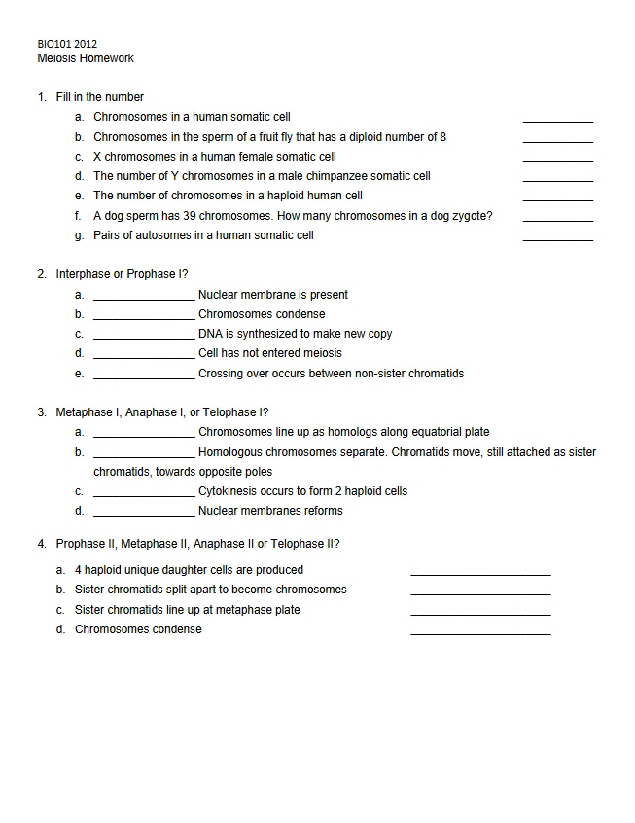 Homework on Meiosis