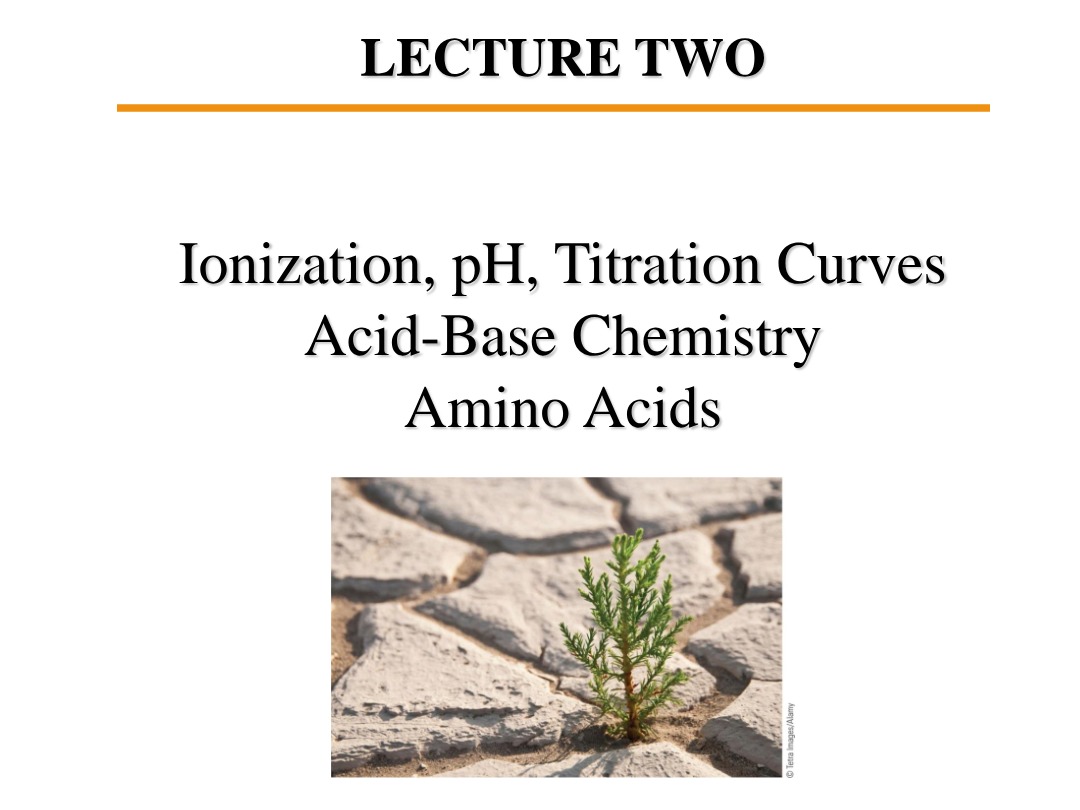 Lecture Two - pH, Titration Curves, and Amino Acids