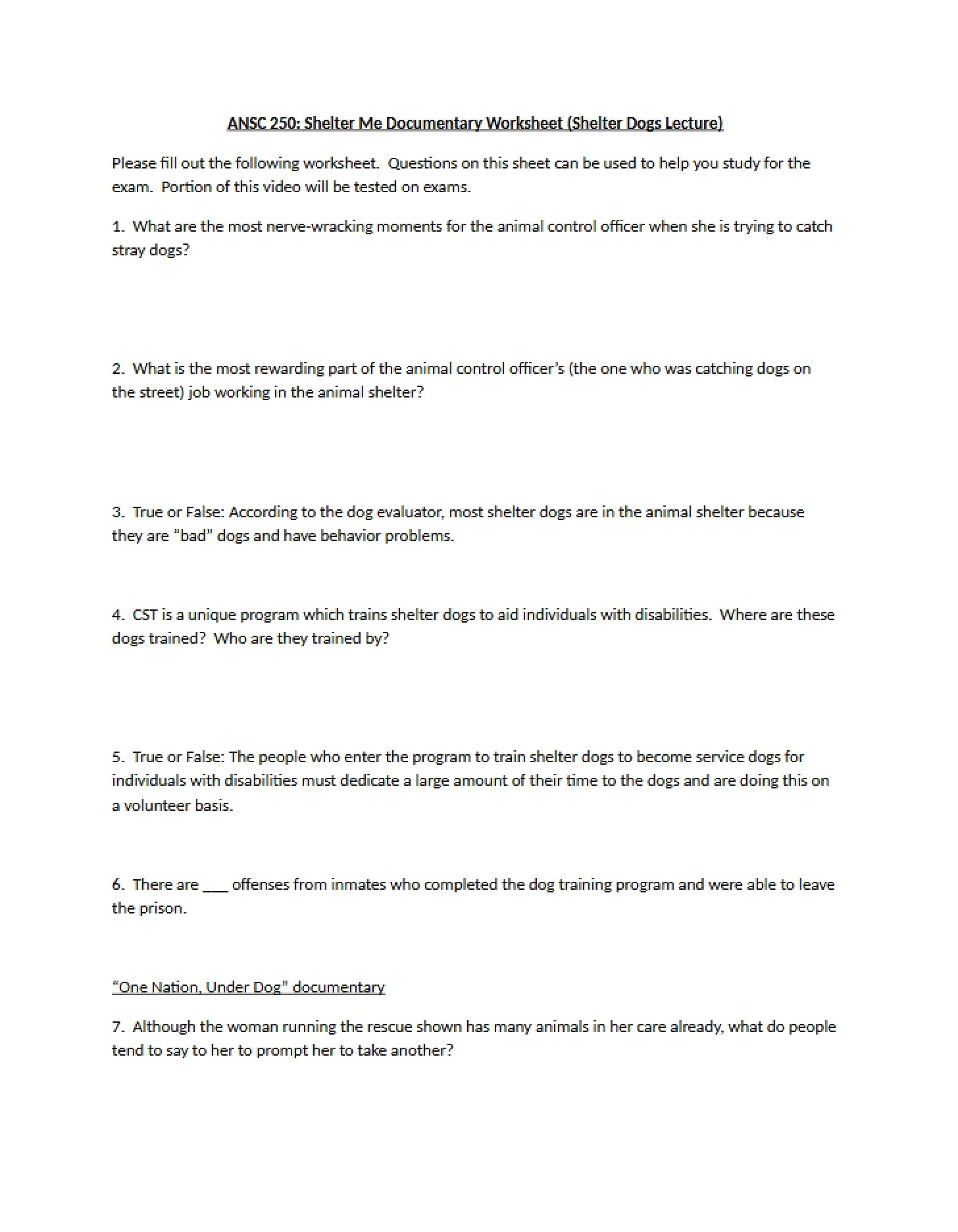 Worksheet for Shelter Animals Documentary