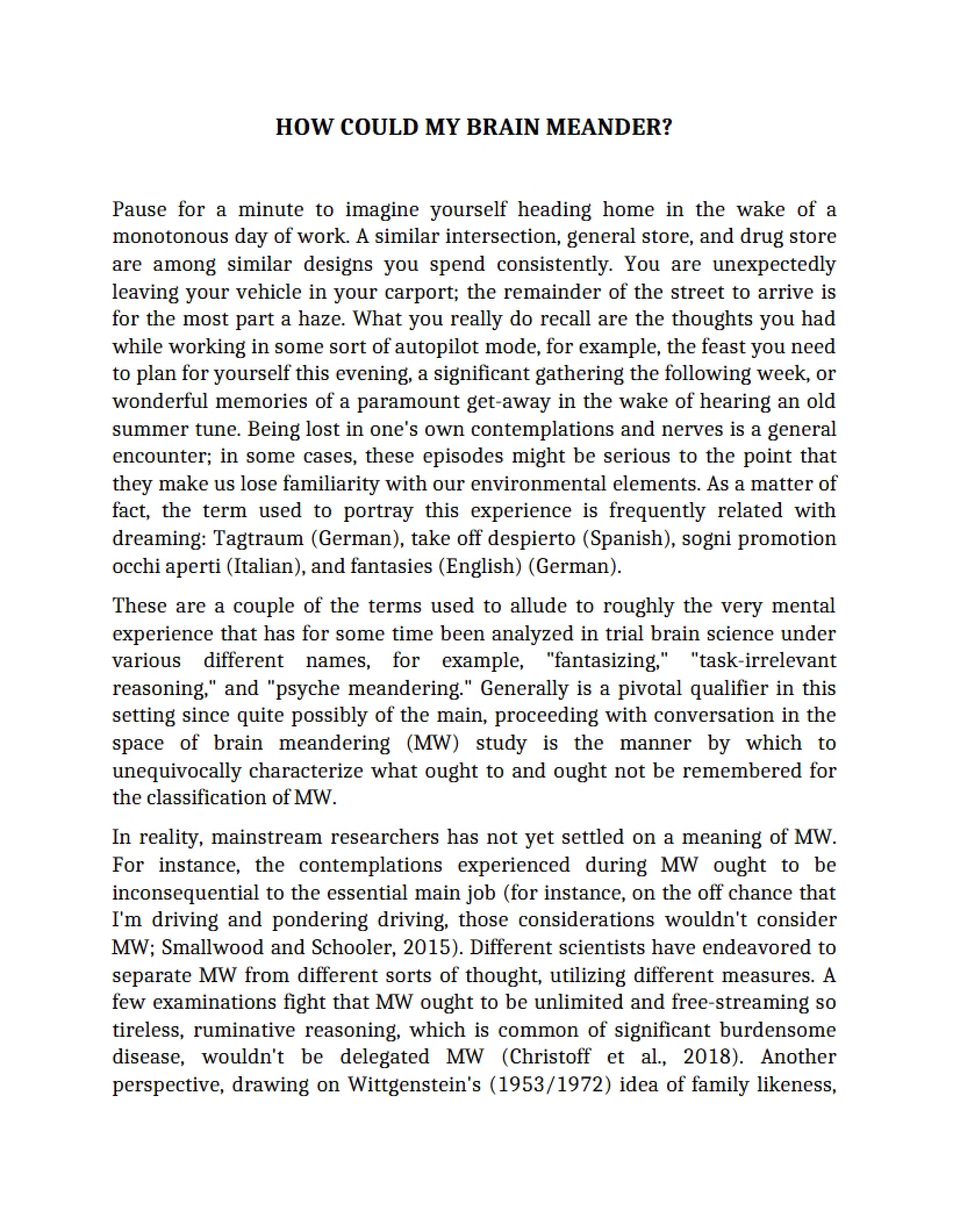 Brain Meandering Analysis