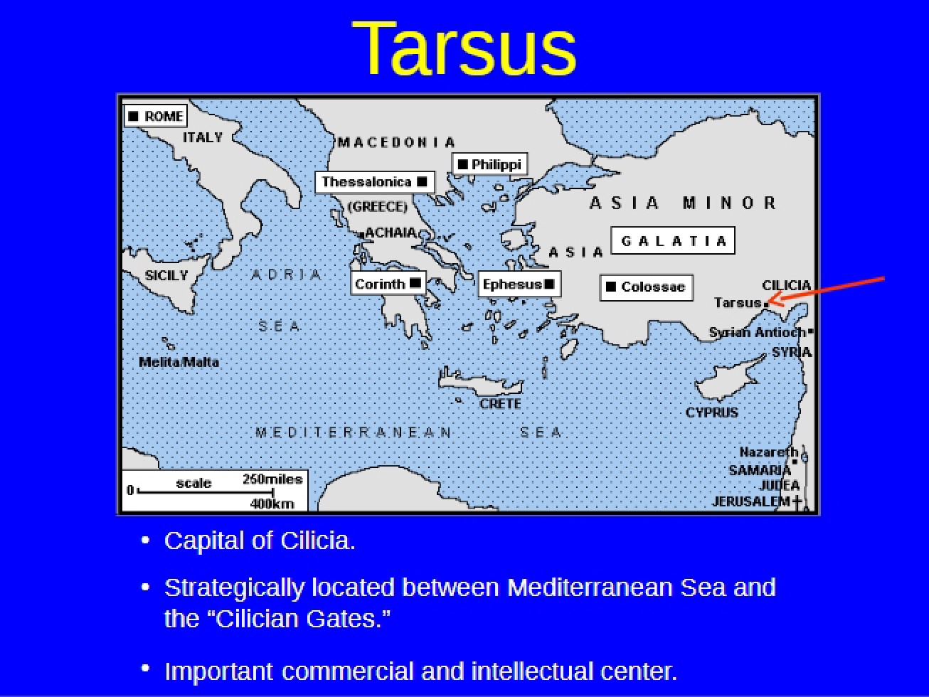 Study Materials on Tarsus