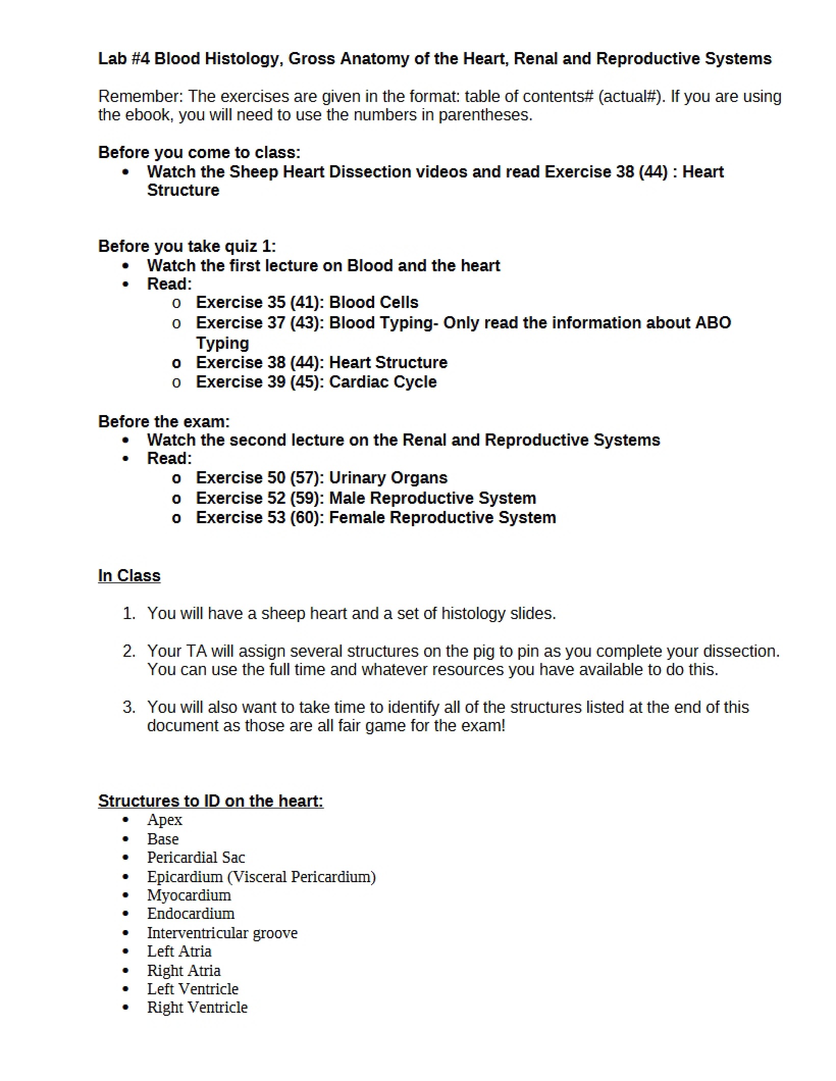 List for Practical Exam 4