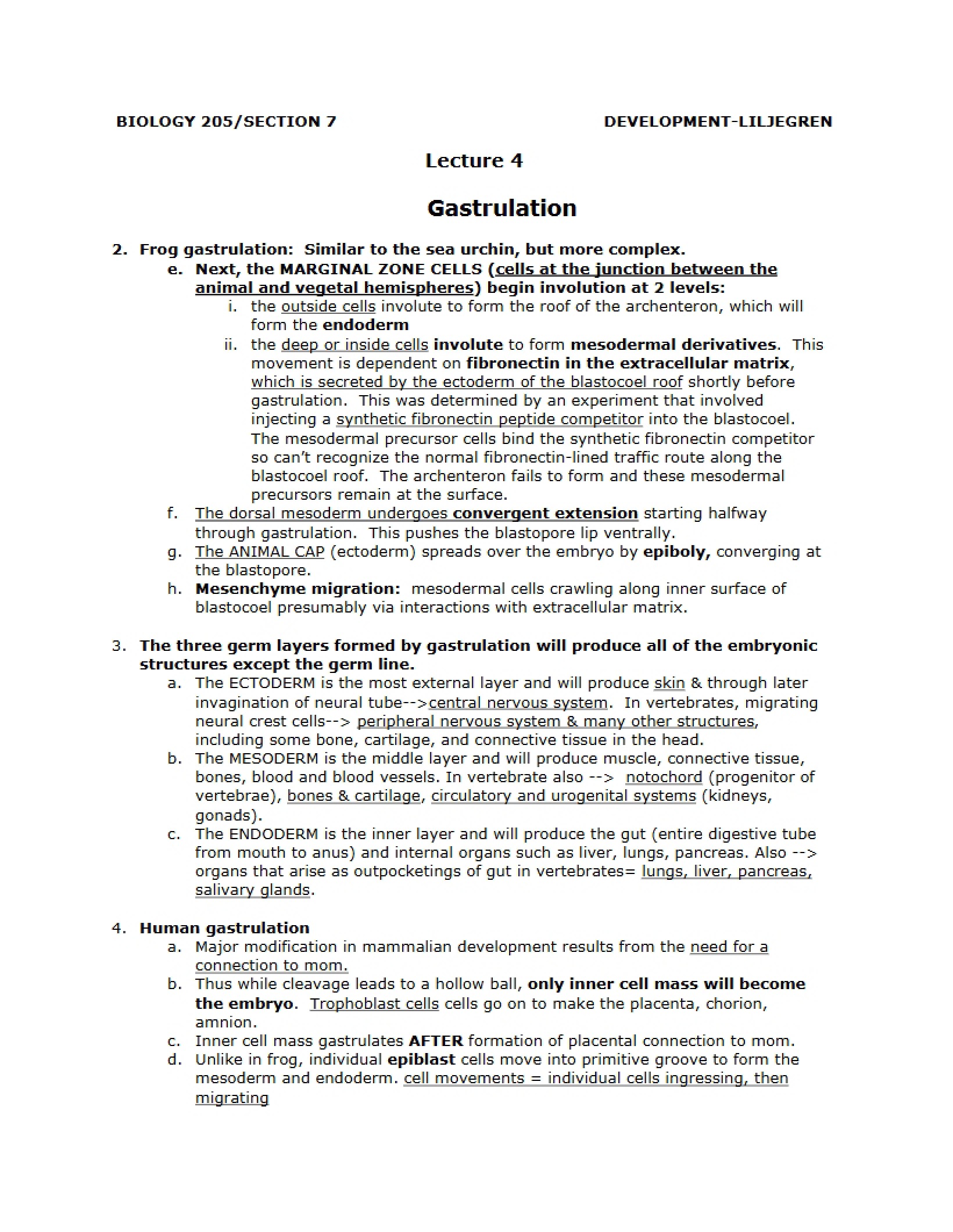 Lecture Four Gastrulation