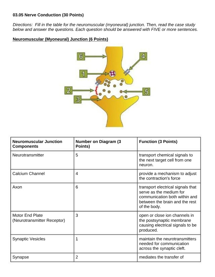 Understanding Nerve Conduction and Dehydration for Student Athletes