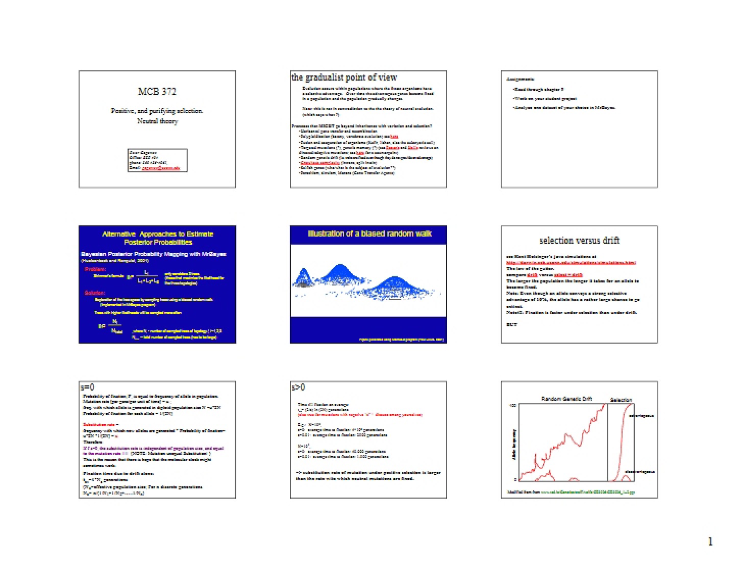 Notes from Class - 6 Pages