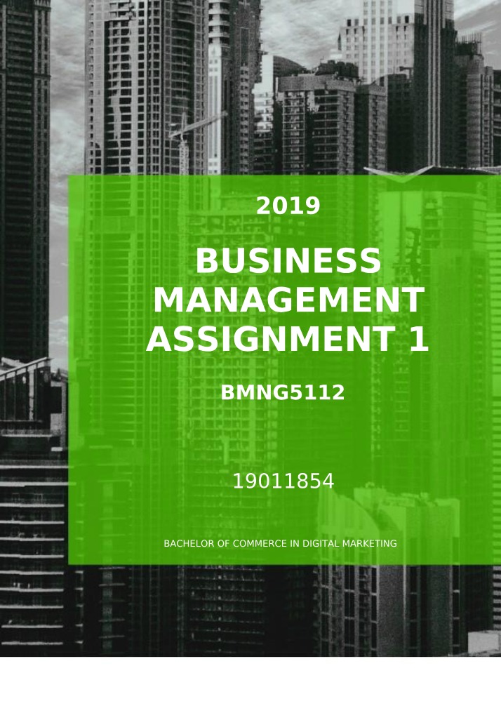 Assignment 1B - BUS 499