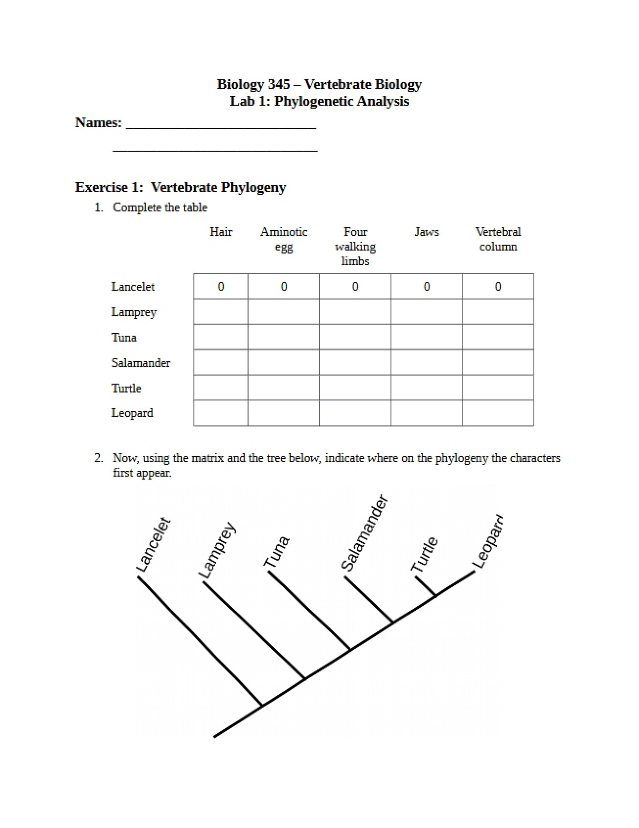 Evolutionary Phylogeny Lab Template