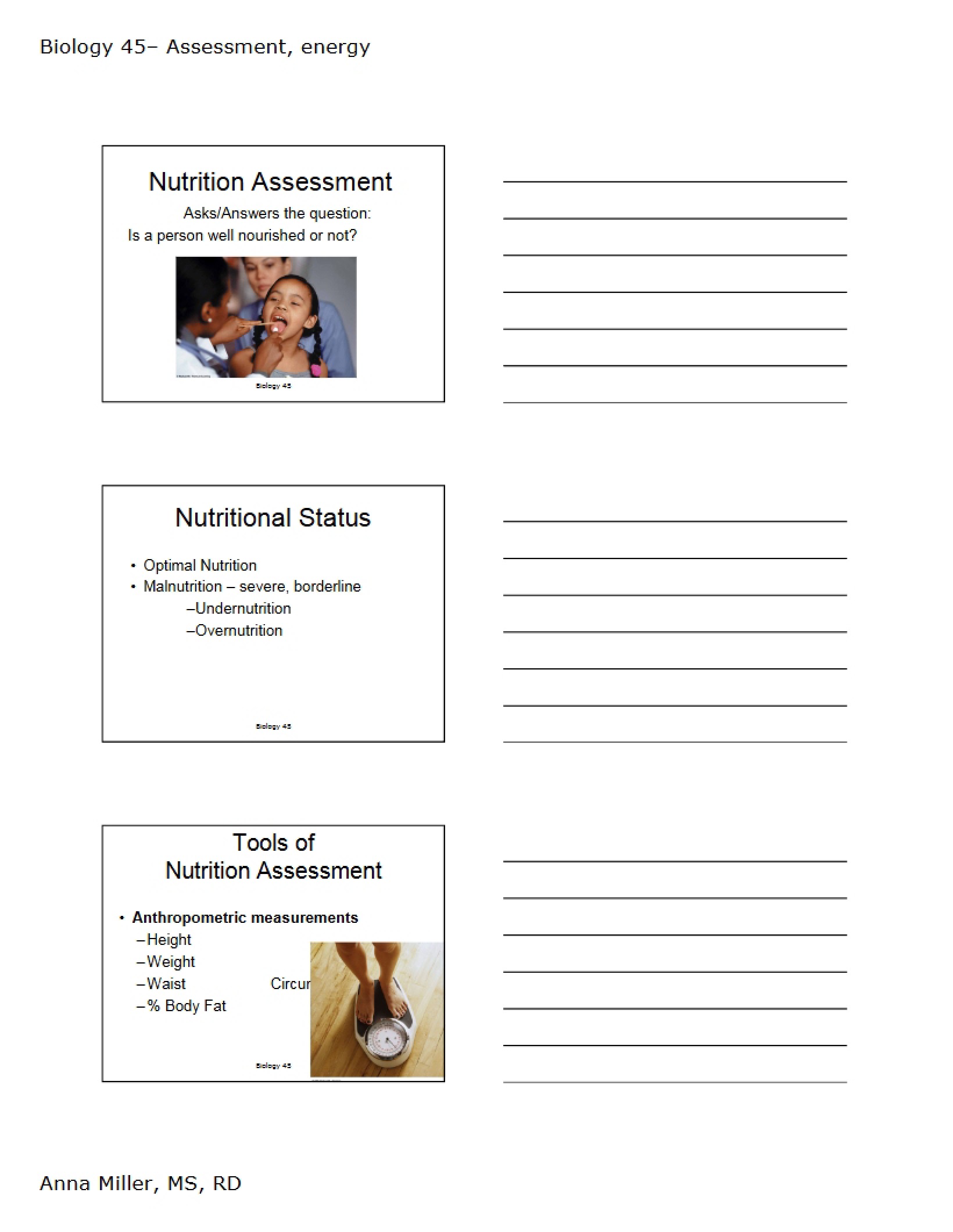 Energy Assessment