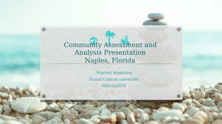 Community Assessment and Analysis - Naples, Florida