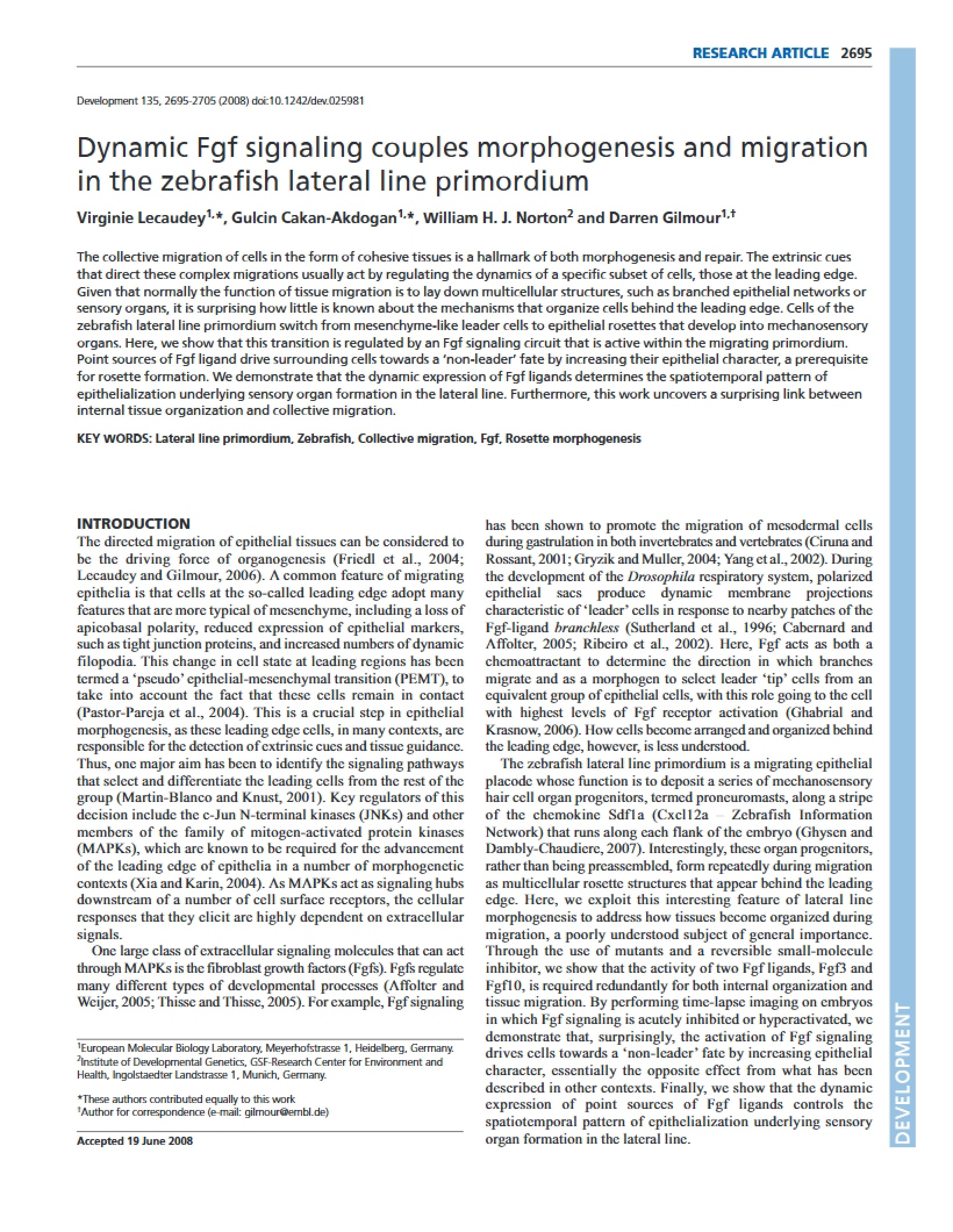 Migration and Morphogenesis Coupling via Dynamic Fgf Signaling