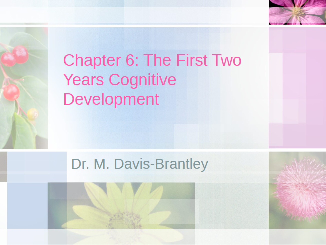 Cognitive Development in the First Two Years