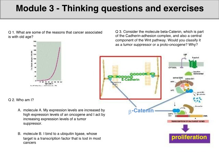 Module 3 Exercises and Thinking Questions