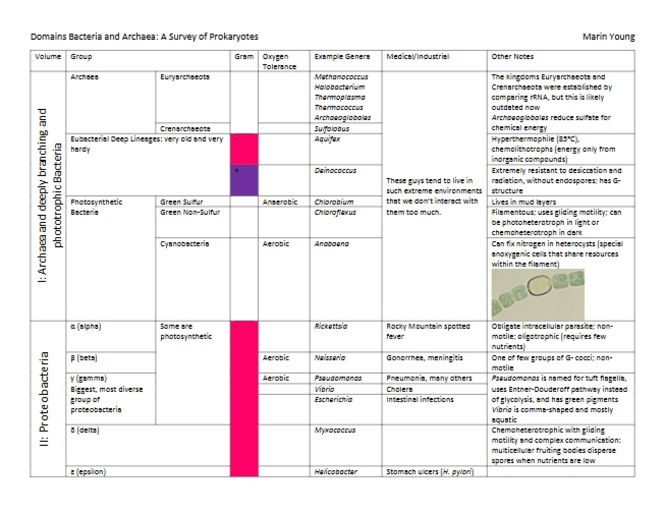 Prokaryote Survey Archaea and Bacteria Domains