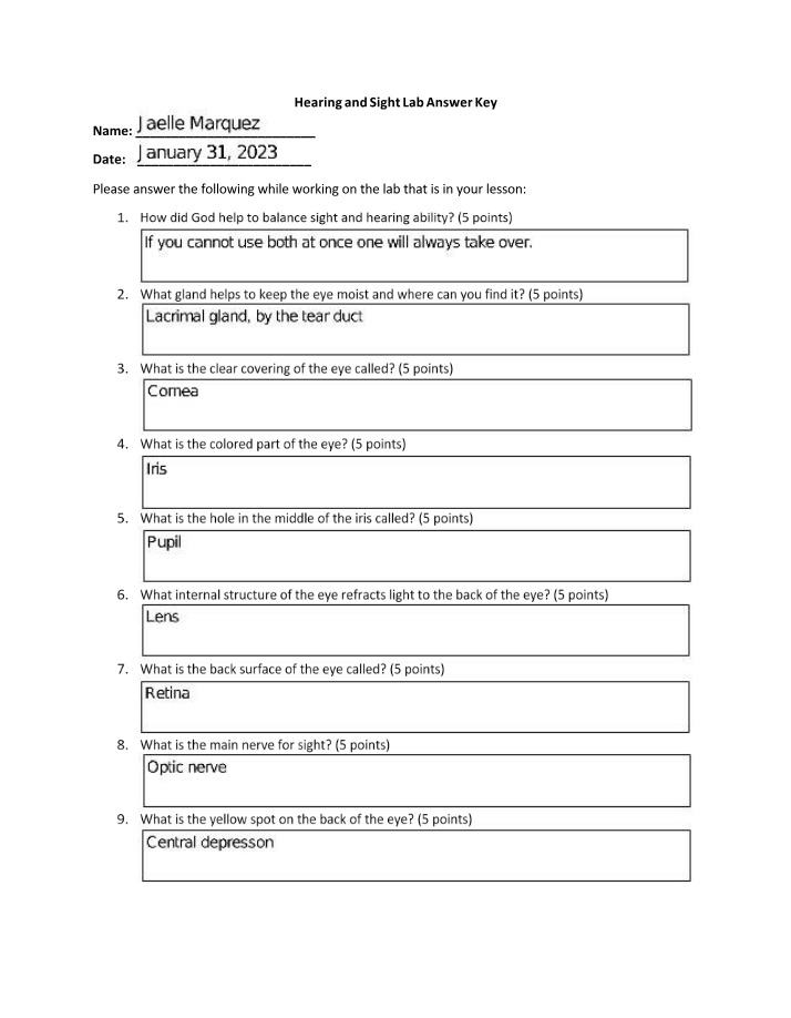 Answer Key for Hearing and Sight Lab