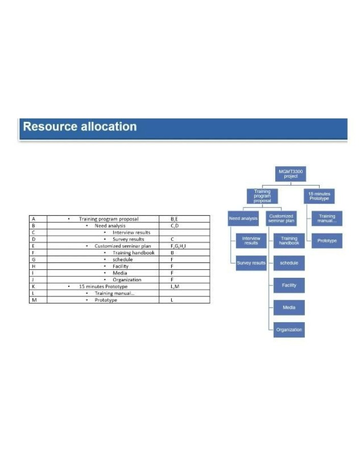MGMT3300 Project - Resource Allocation