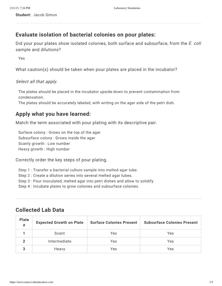 Lab Simulation - Bacterial Colony Isolation on Pour Plates