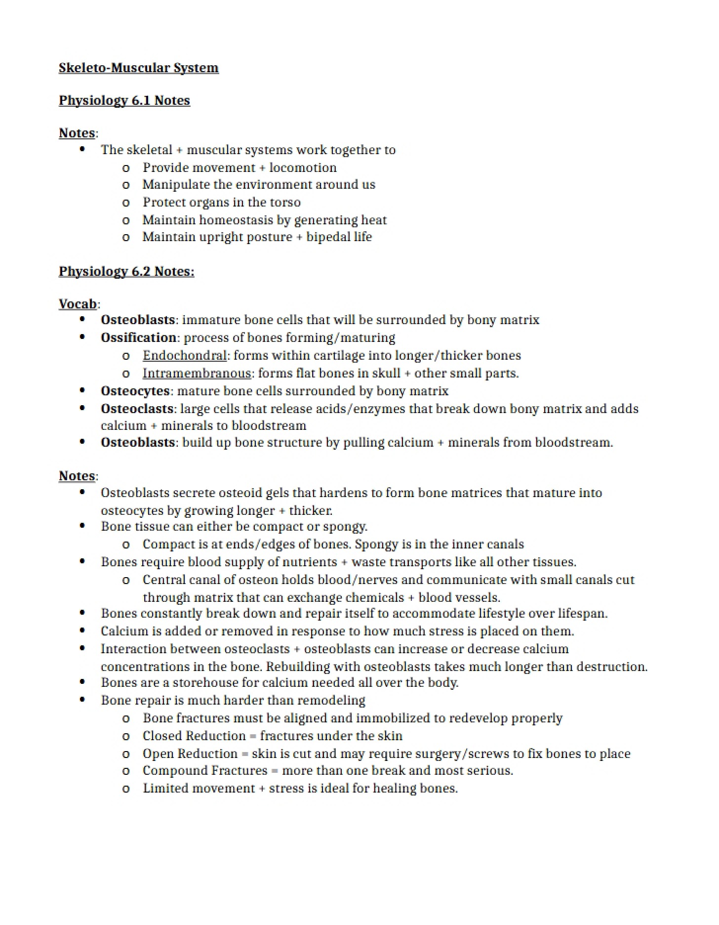 Notes on Physiology Chapter 6