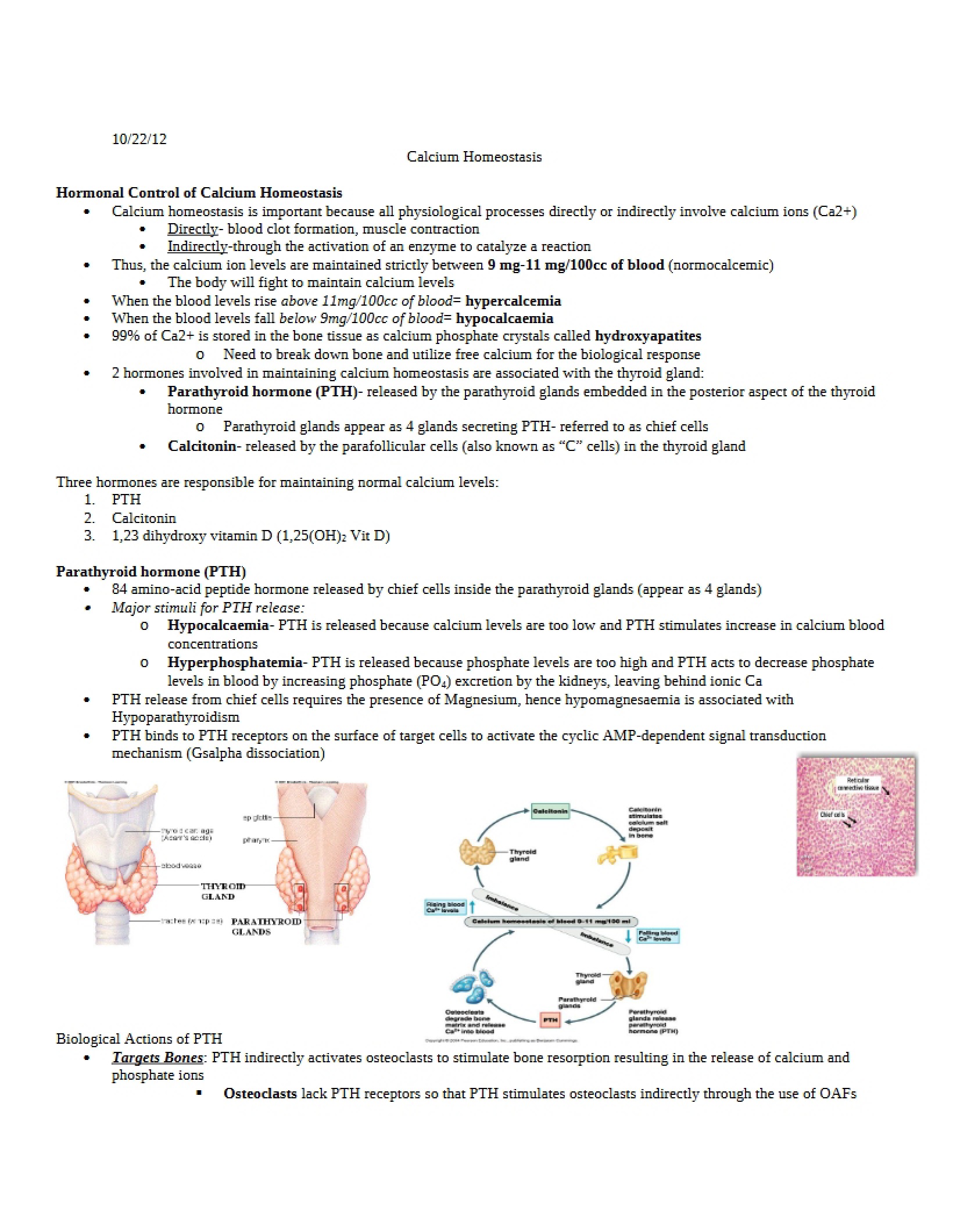 Homeostasis of Calcium