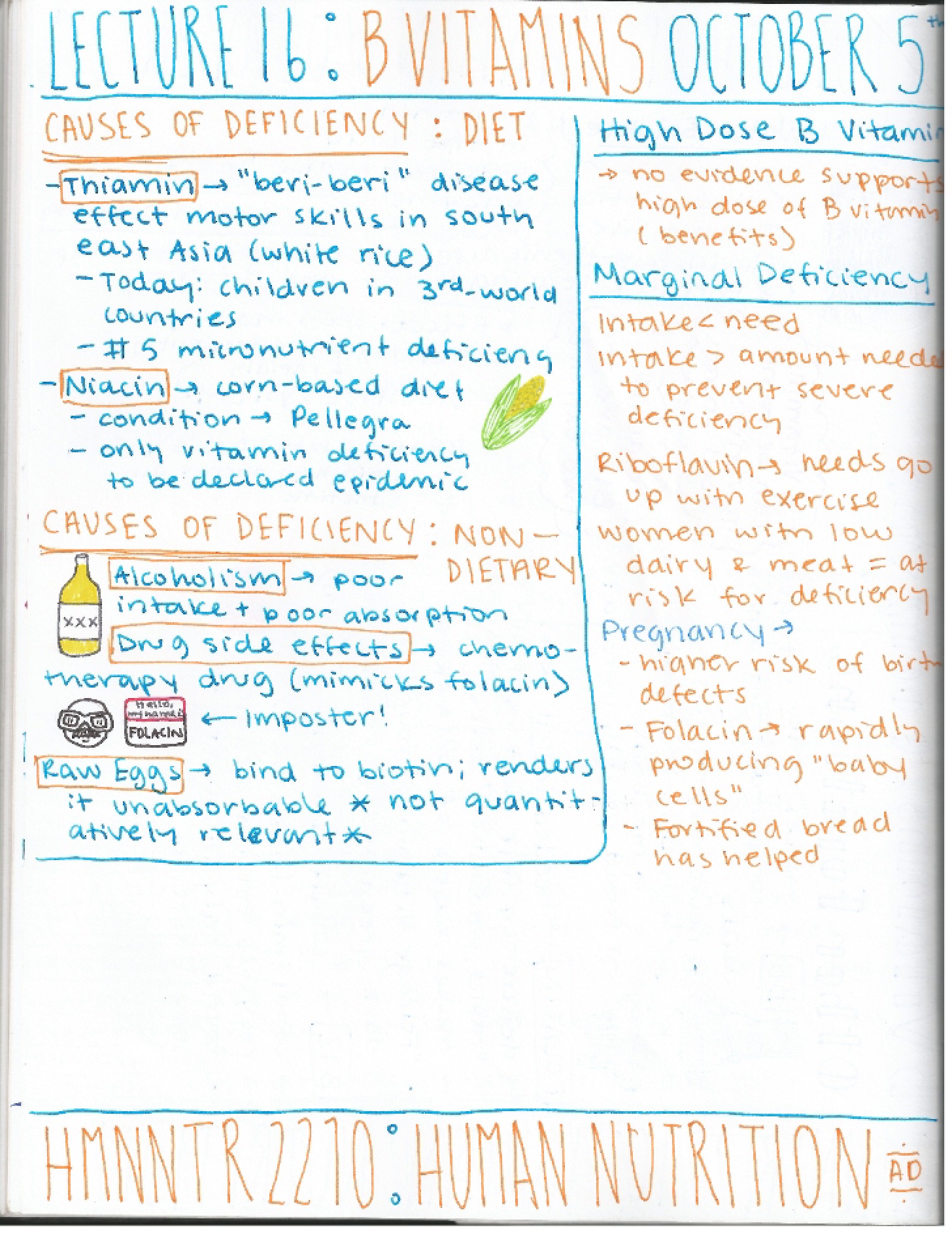 Lecture Record