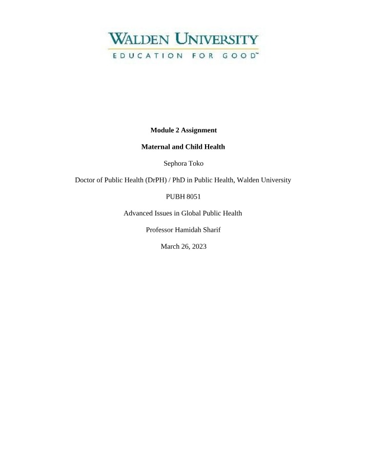 Maternal and Child Health Risks - Global Impact Assignment
