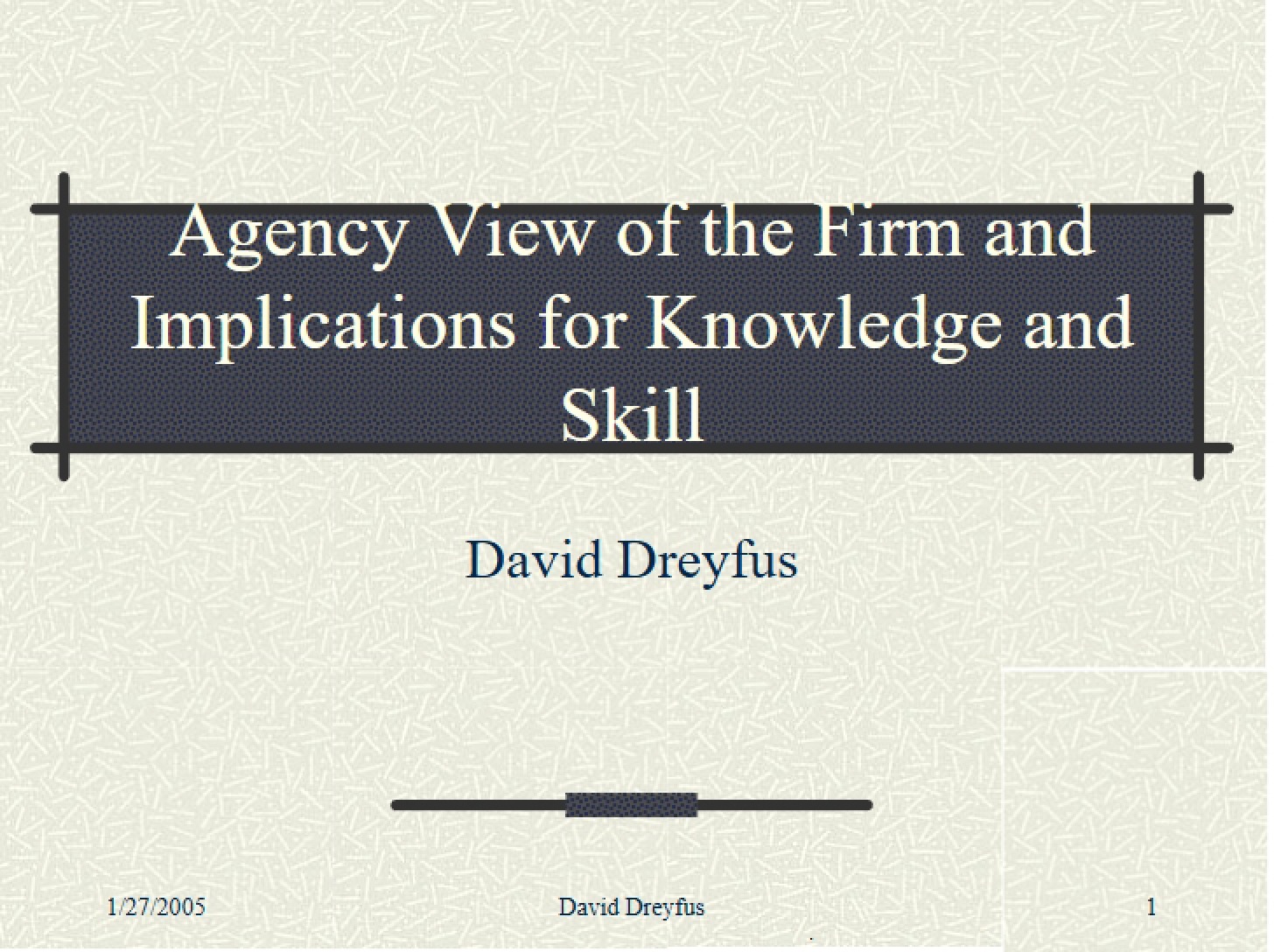 Firm Agency Perspective