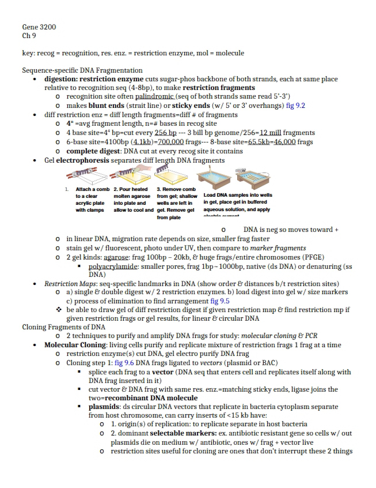 Genetics Class Notes