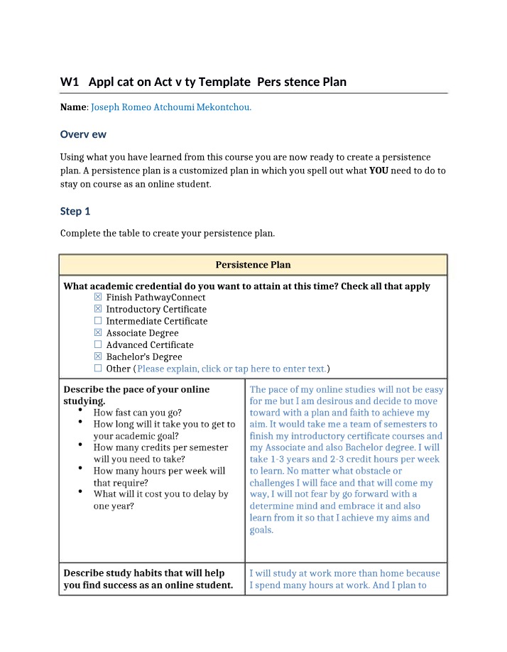 W13 Application Activity - Persistence Plan Template