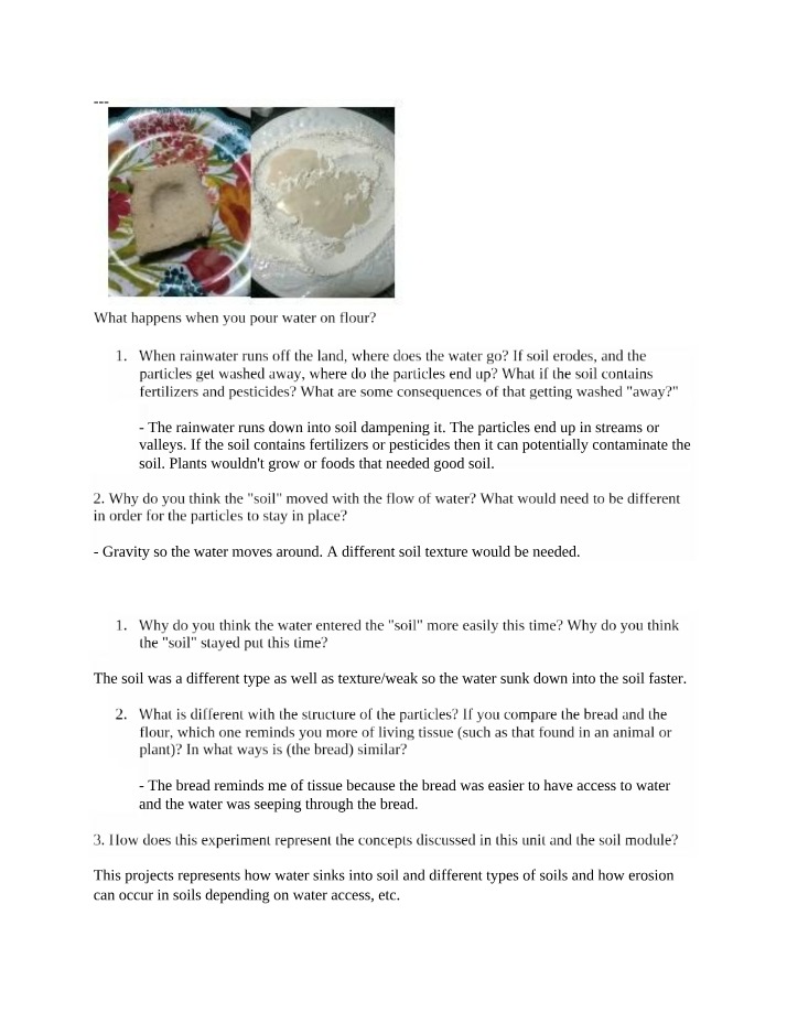 Experiment - Flour Bread