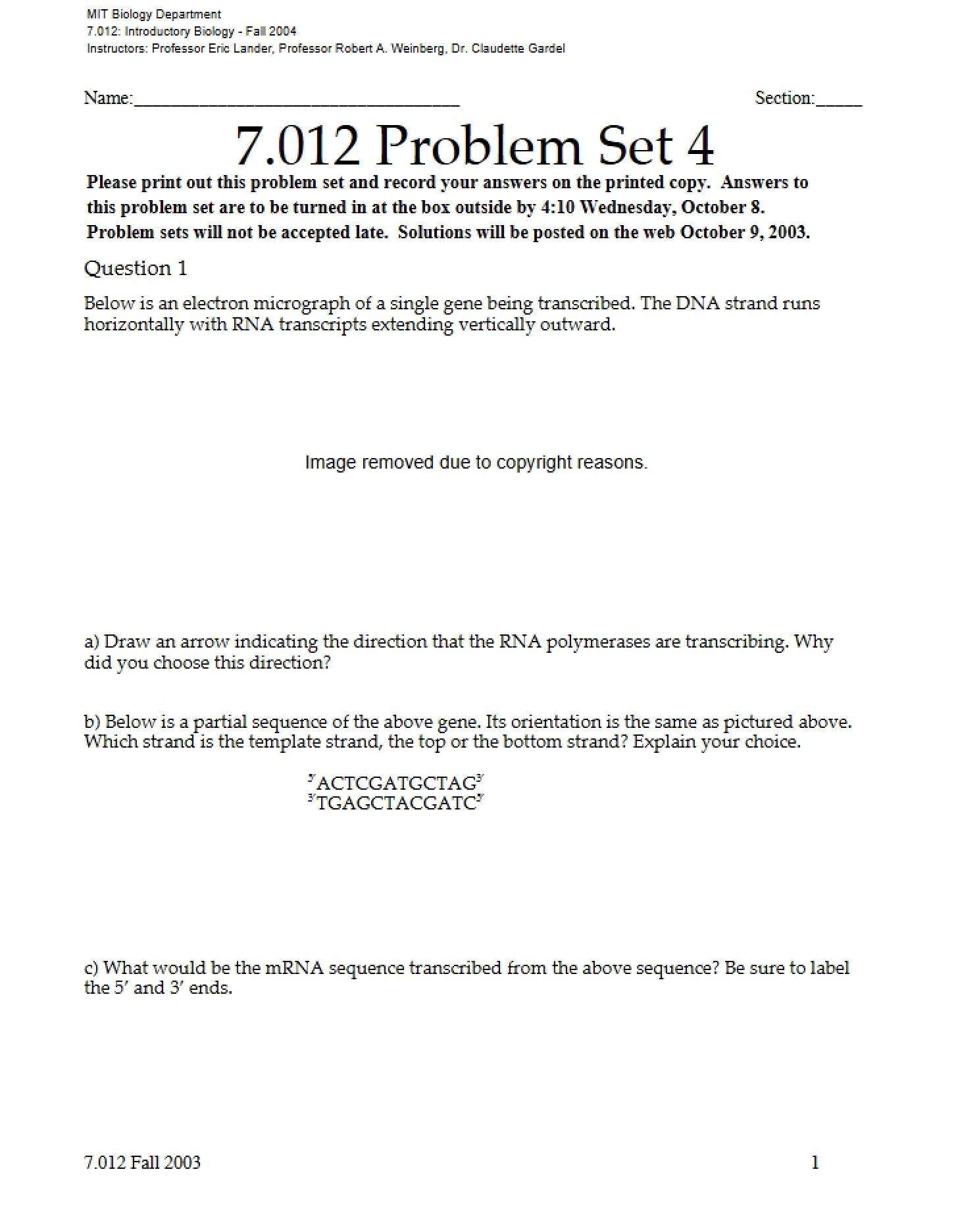 Set 4 Problems