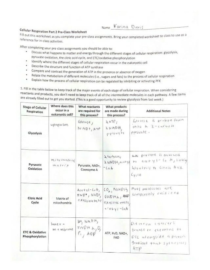Cellular Respiration Part 2 Pre-Class Worksheet Set G