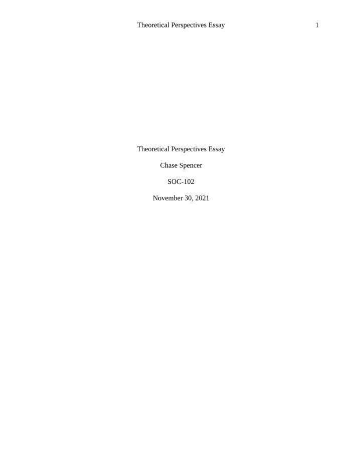 Essay on Theoretical Perspectives