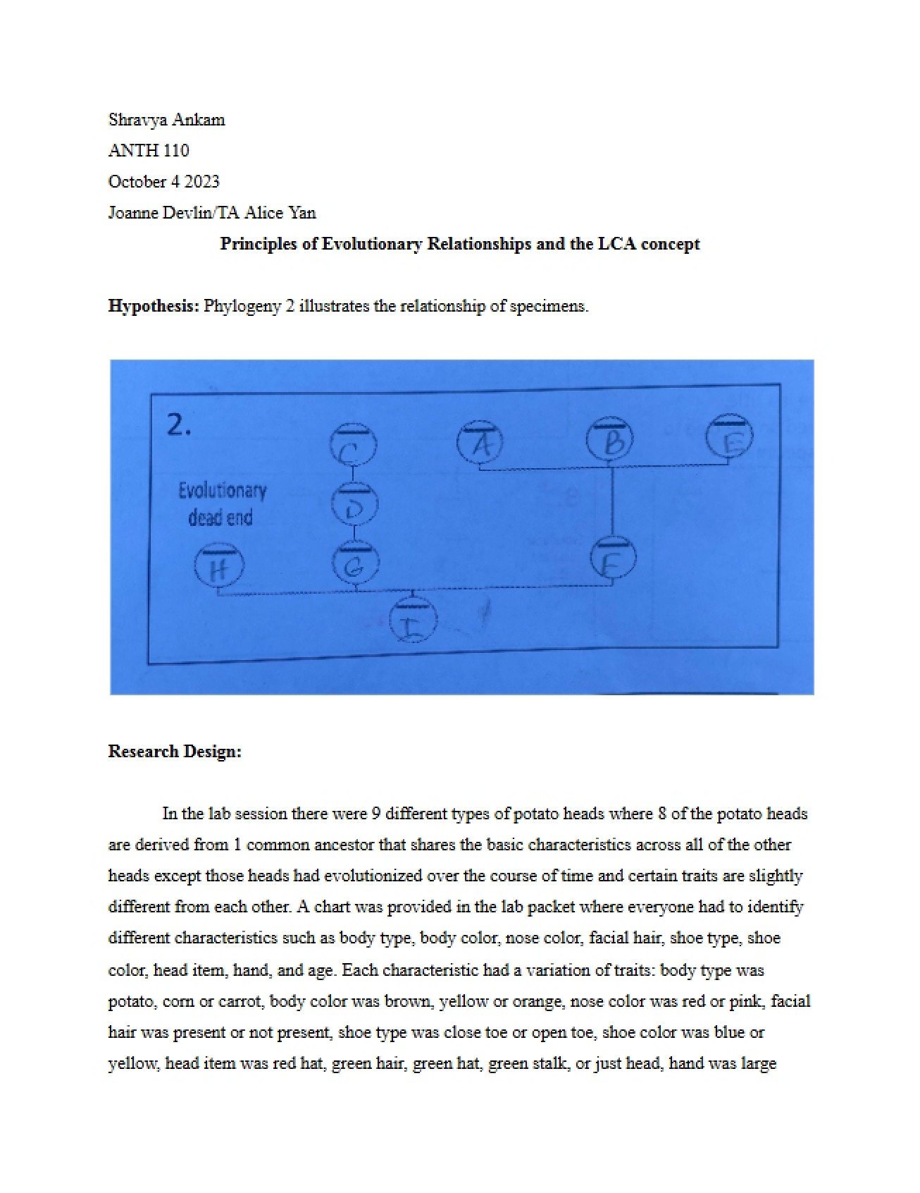 LCA Concept and Evolutionary Relationship Principles