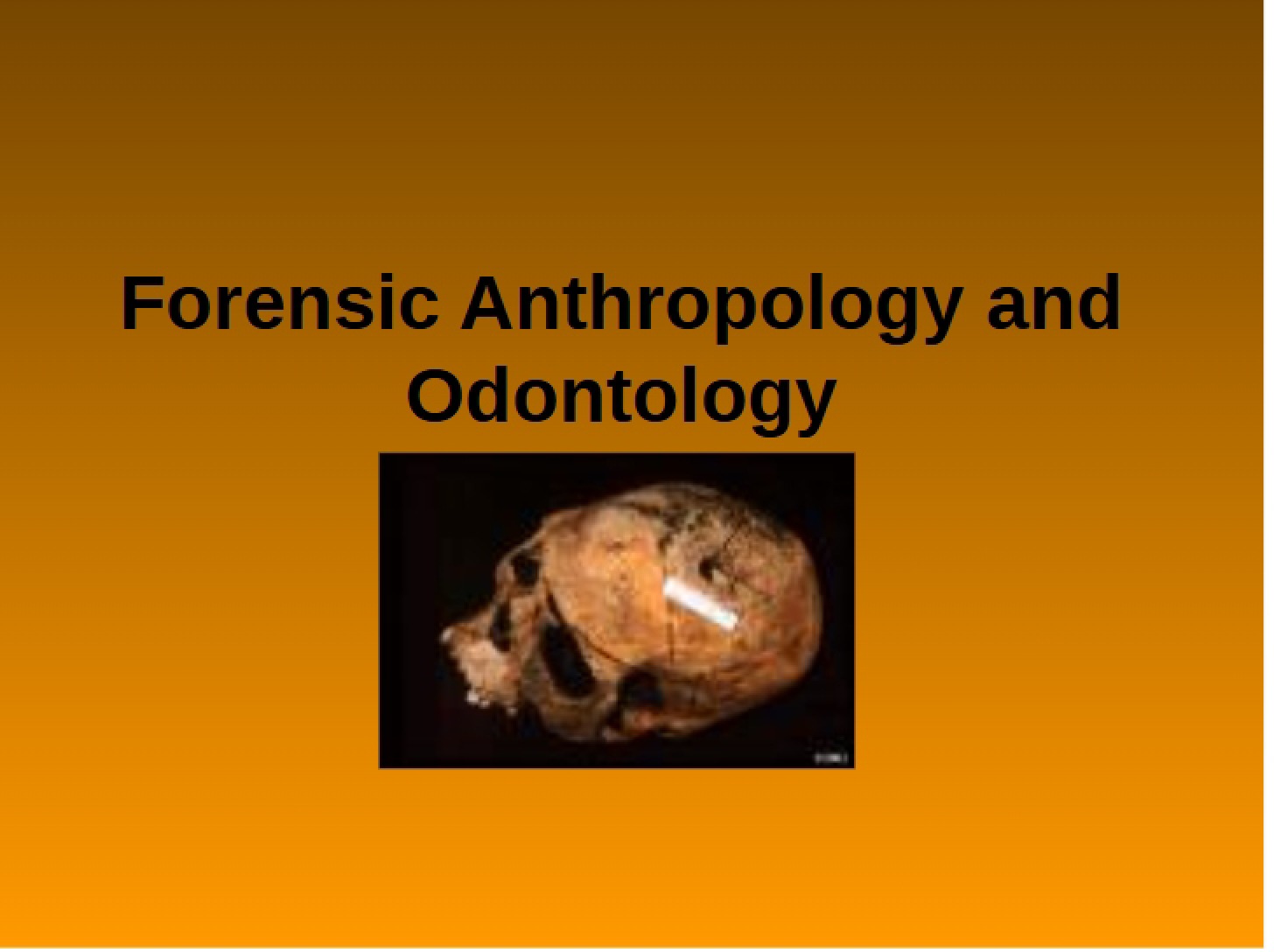 Student Guide Forensic Odontology and Anthropology Part 3