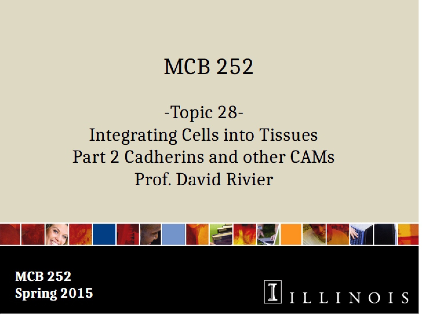 Tissue Integration Part 2