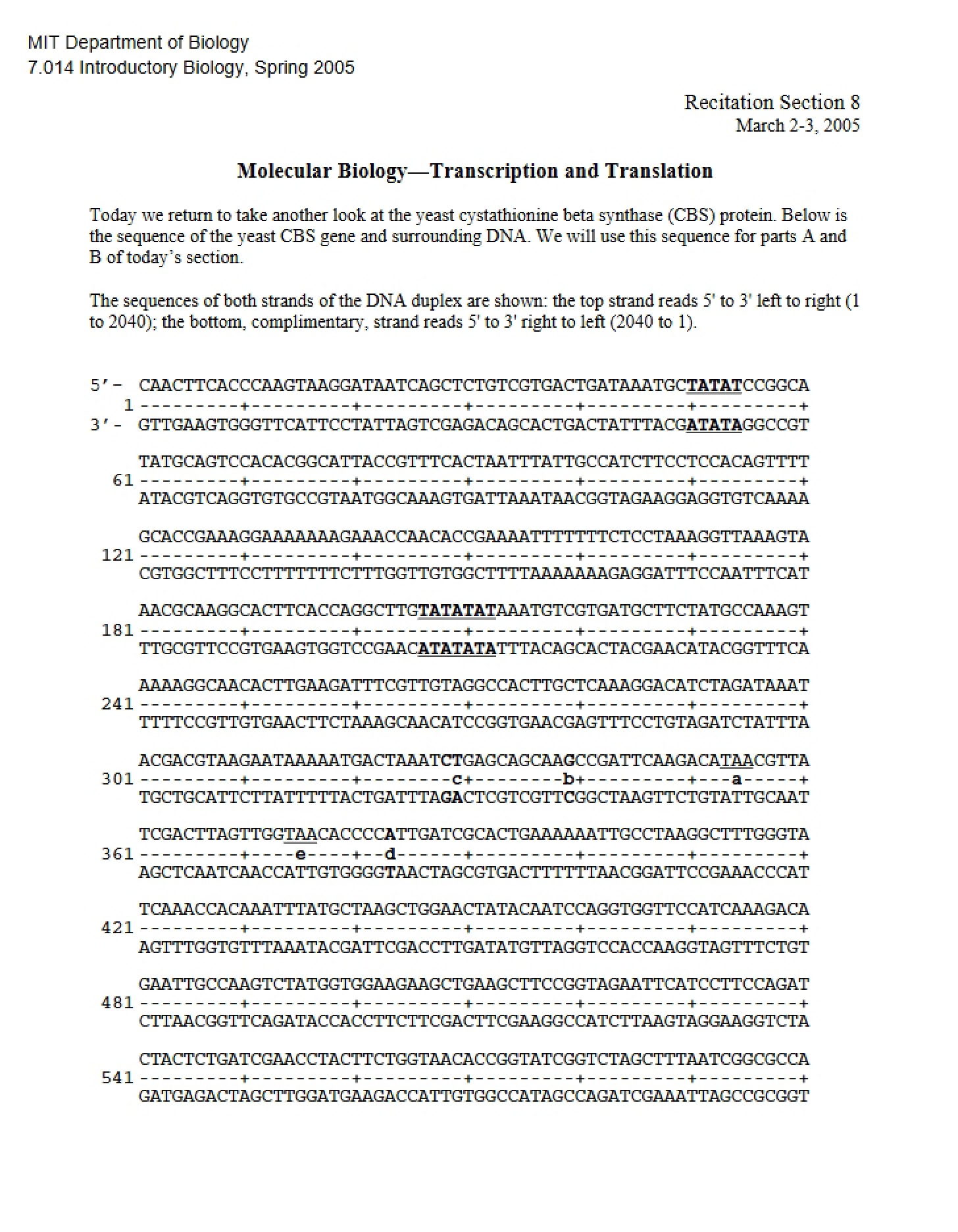 Translation and Transcription in Molecular Biology - 8 Pages