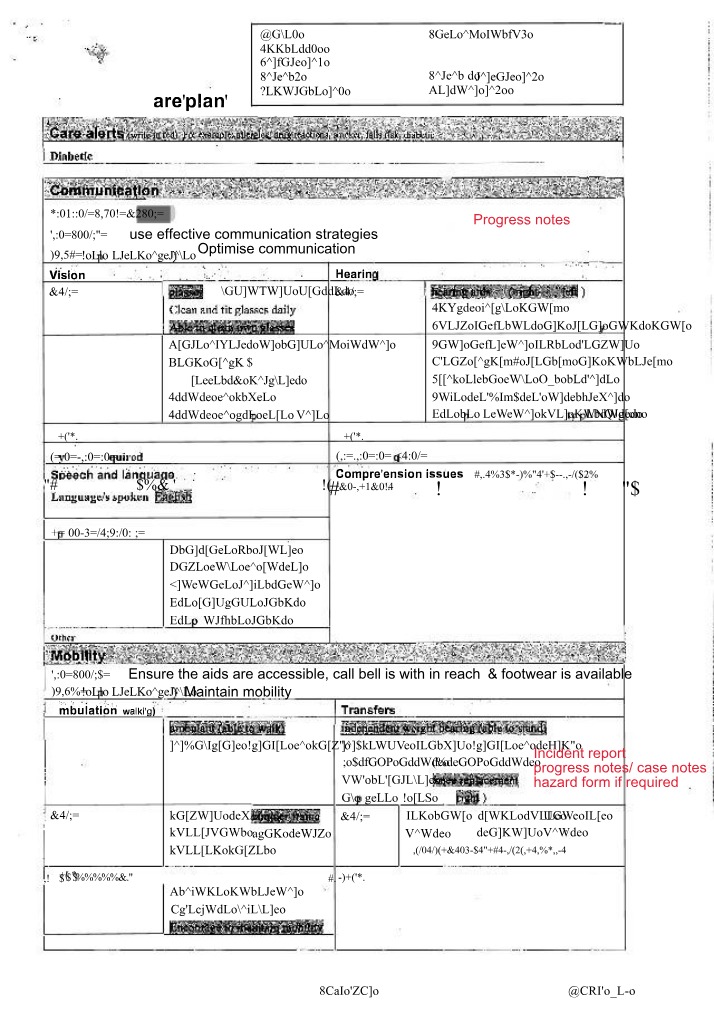 Care Plan for Agnes