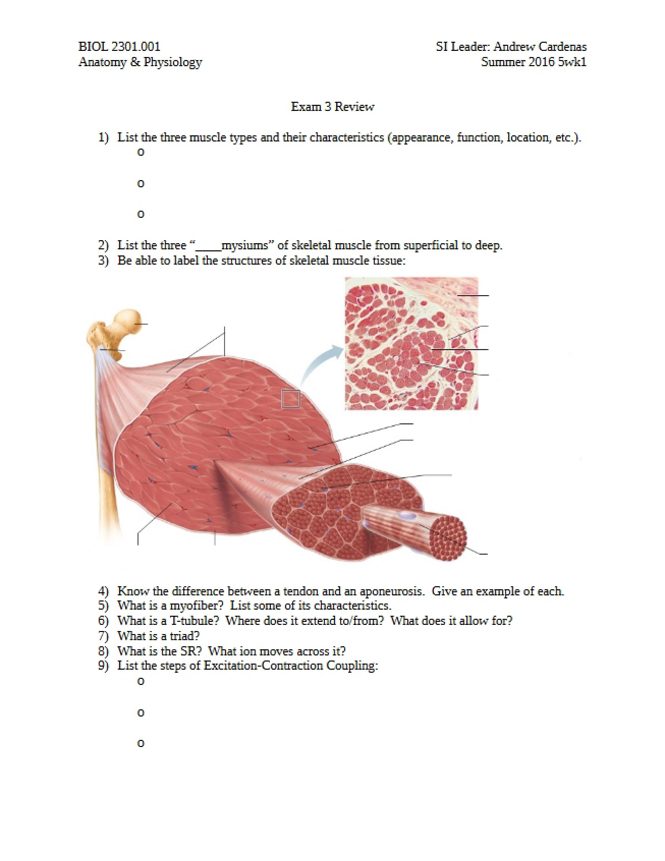 Review for Third Exam