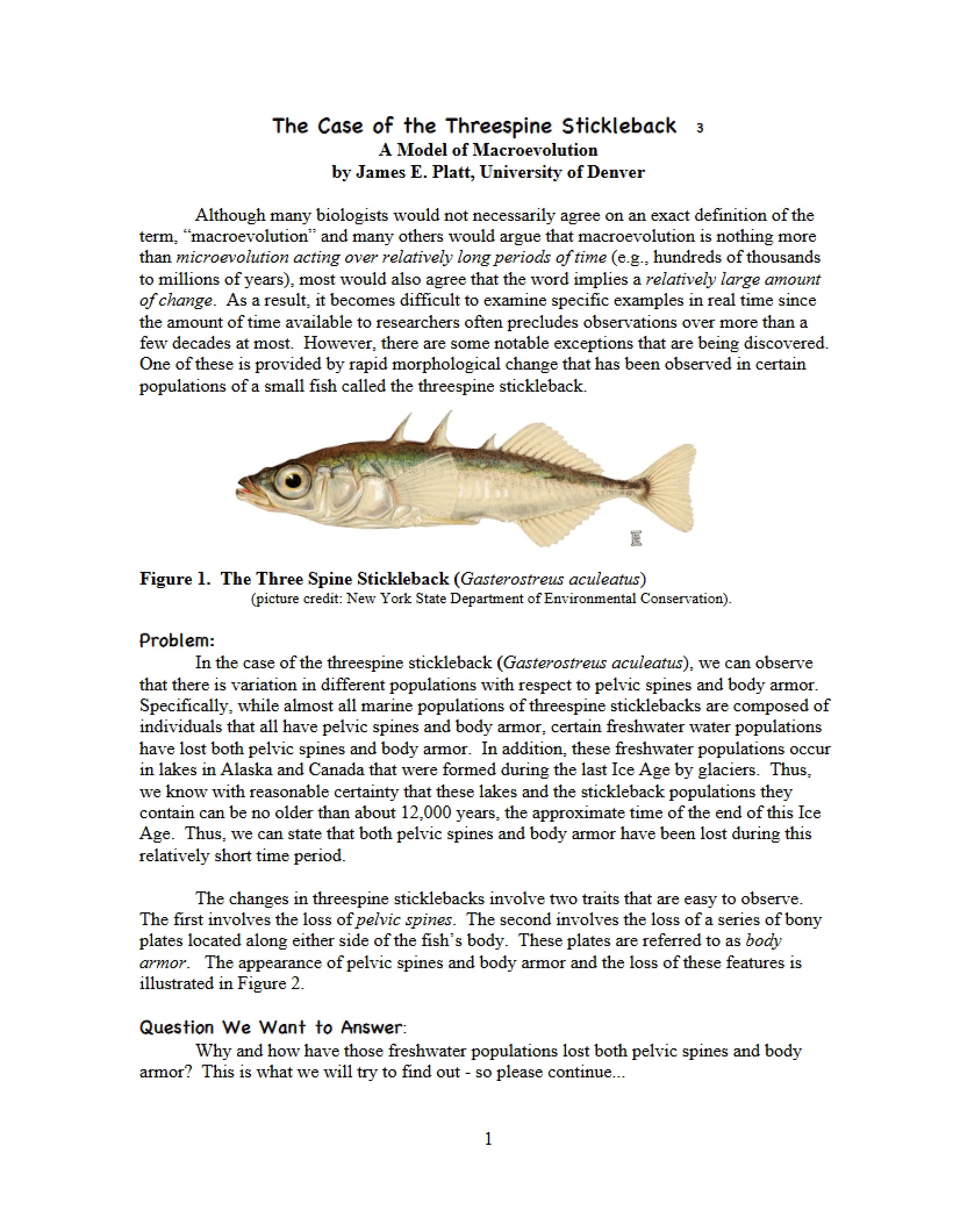 Threespine Stickleback Case Study
