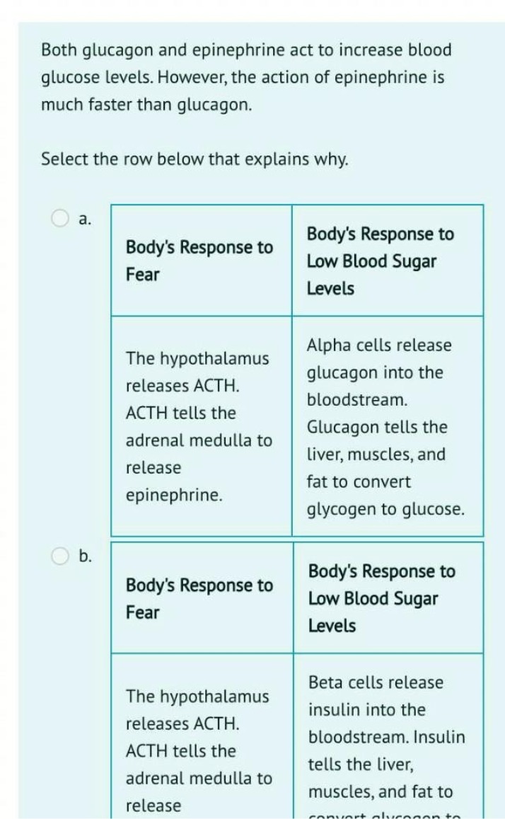 Body's Response to Low Blood Sugar and Fear