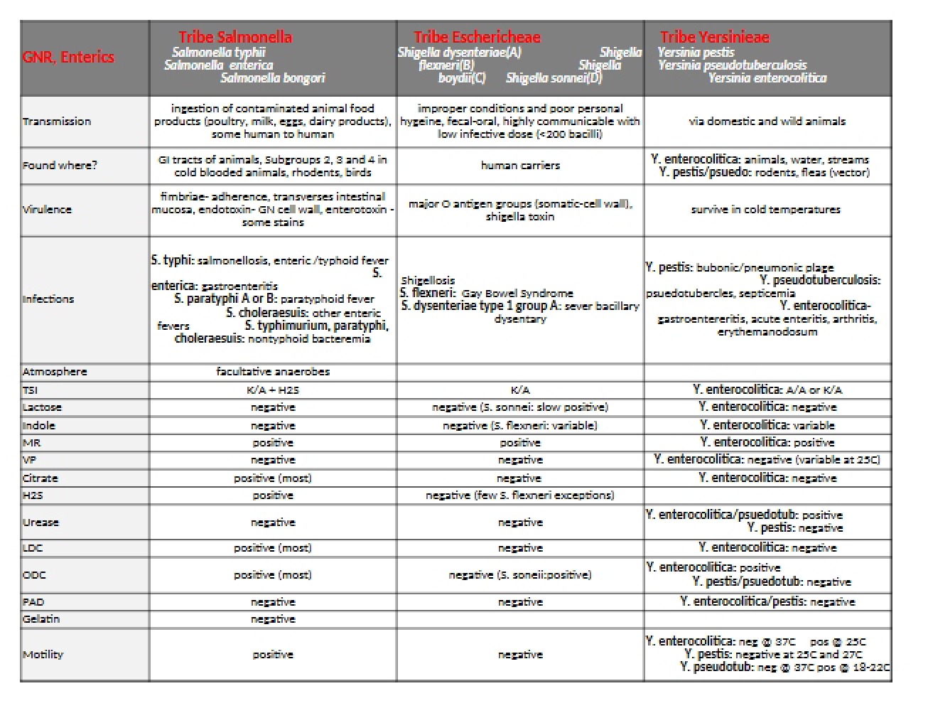 Lecture Notes - 2 Pages